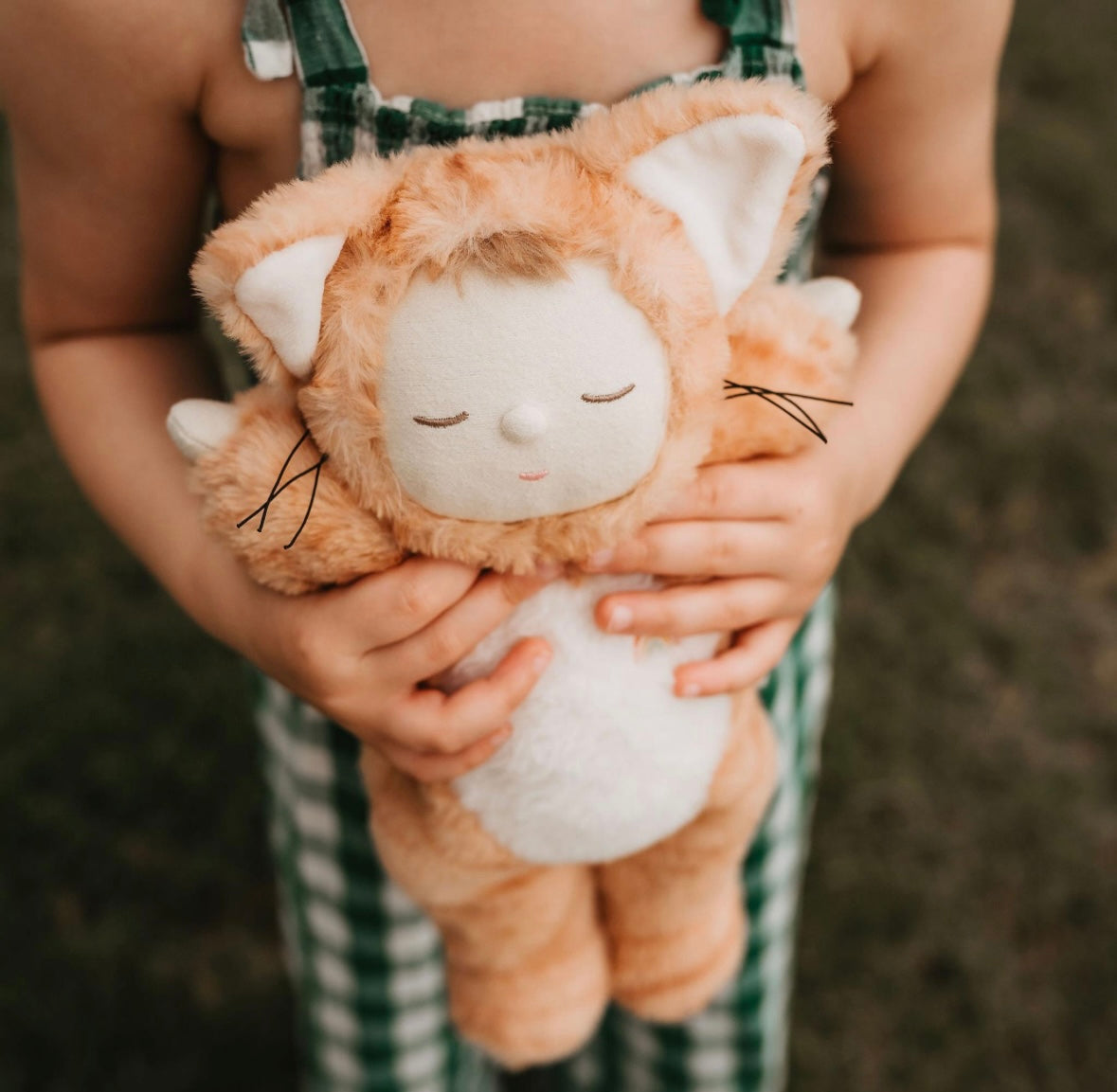 Kuschel-Katze von Olliella, Farbe: tabby