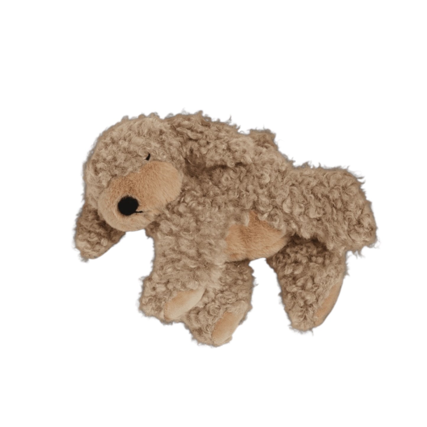 Hundewelpe Benny von Olliella