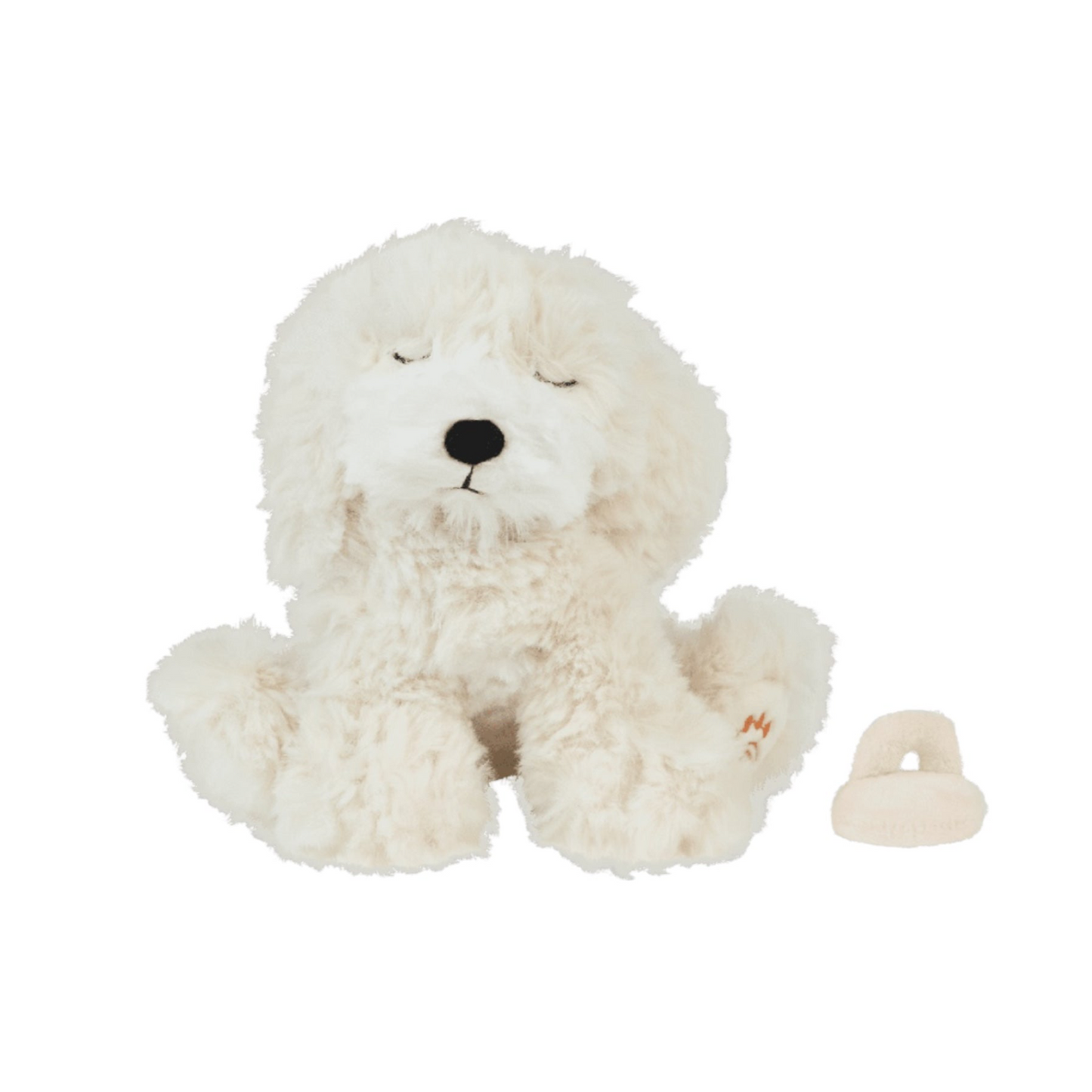 Hundewelpe Belle von Olliella
