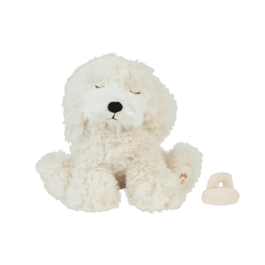 Hundewelpe Belle von Olliella