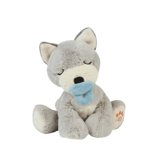 Hundewelpe Banjo von Olliella