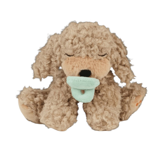 Hundewelpe Benny von Olliella